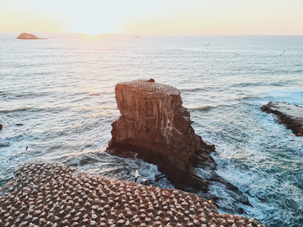 aaron-birch-F3QjkbFduPQ-unsplash