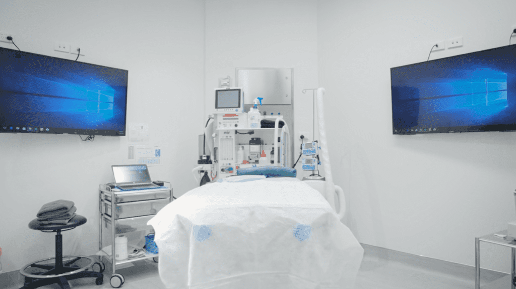 Small Animal Surgery Services