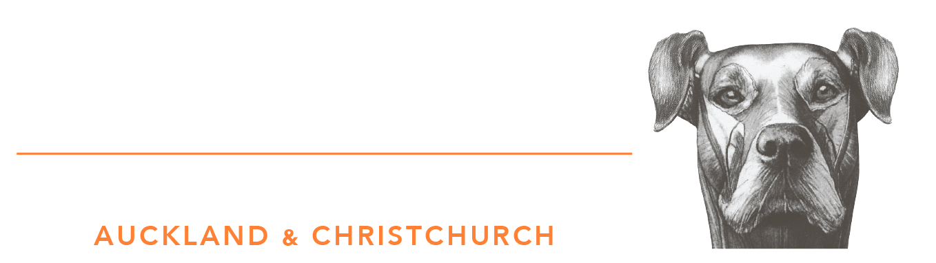VSA - Veterinary Specialists Aotearoa - Veterinary Specialists NZ, in Auckland and Christchurch