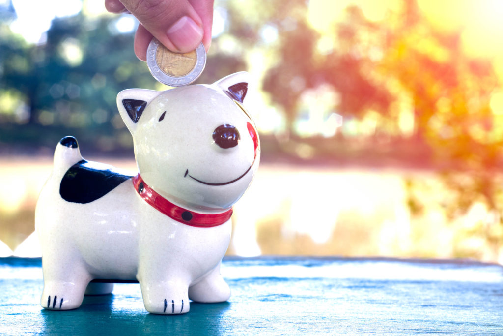 Employee benefits at VSA