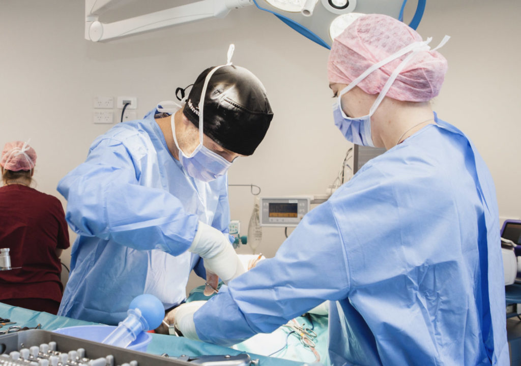 Specialist Veterinary Surgery in Christchurch - Dr Alastair Coomer in theatre - VSA Christchurch
