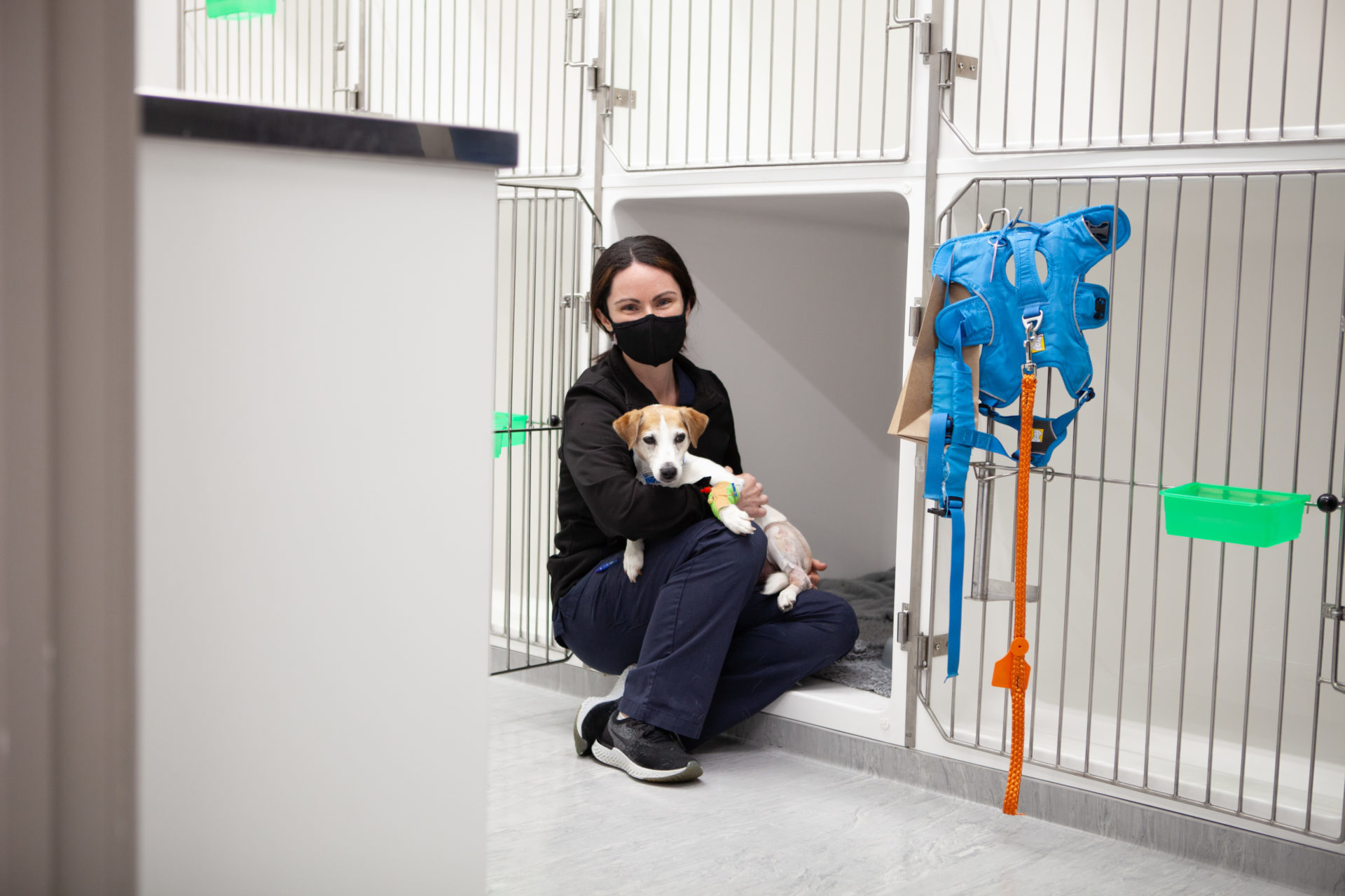 A vet nurse takes time out to cuddle a patient - veterinary specialists aotearoa