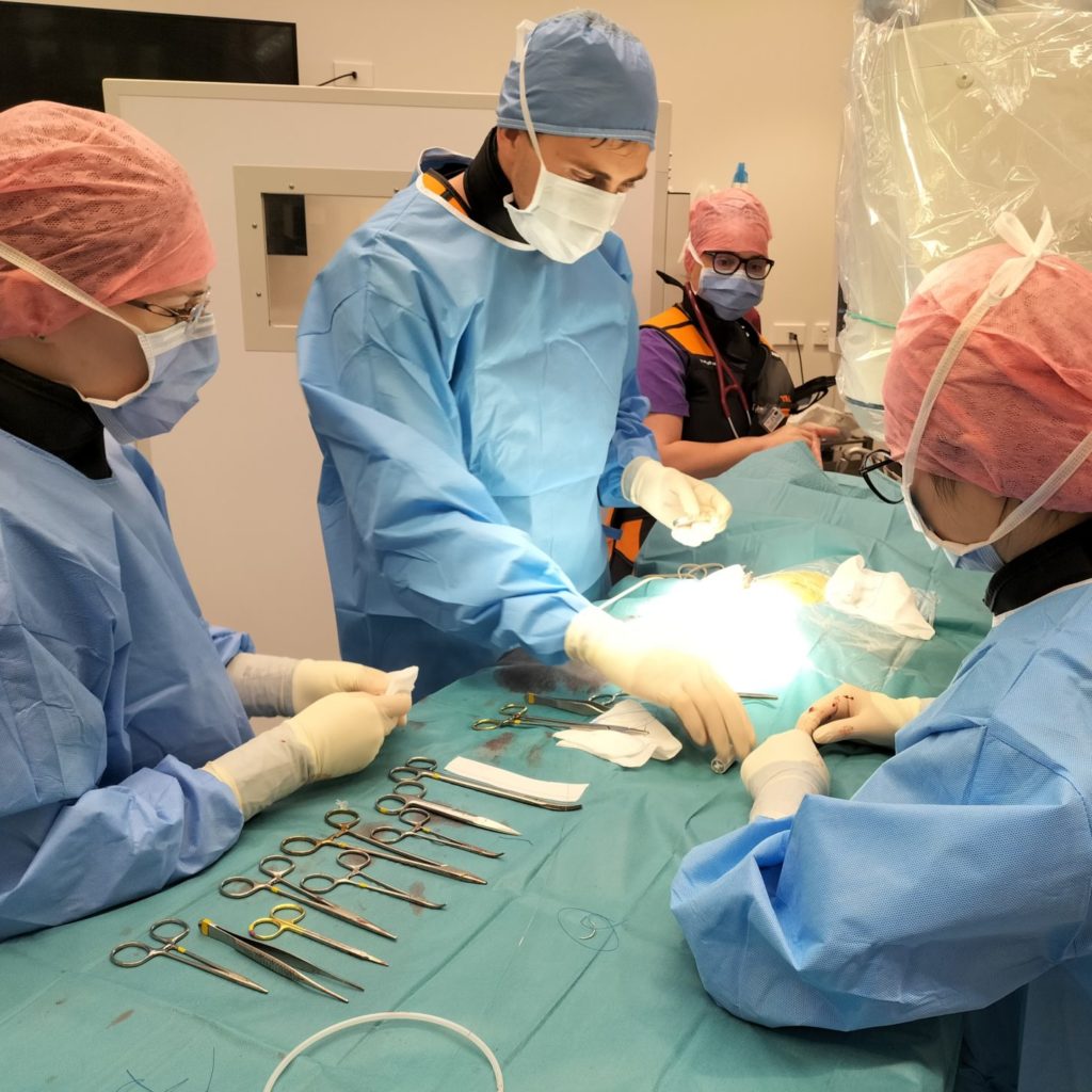 Dr Keaton Morgan, Specialist in Small Animal Cardiology at VSA