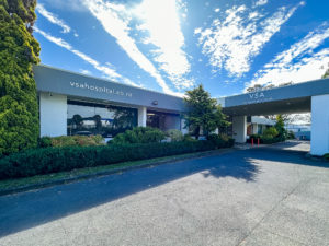 VSA Auckland West. NZ's Newest Specialist Veterinary Hospital